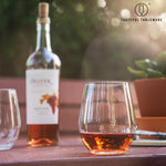Set of 4 plastic wine glasses